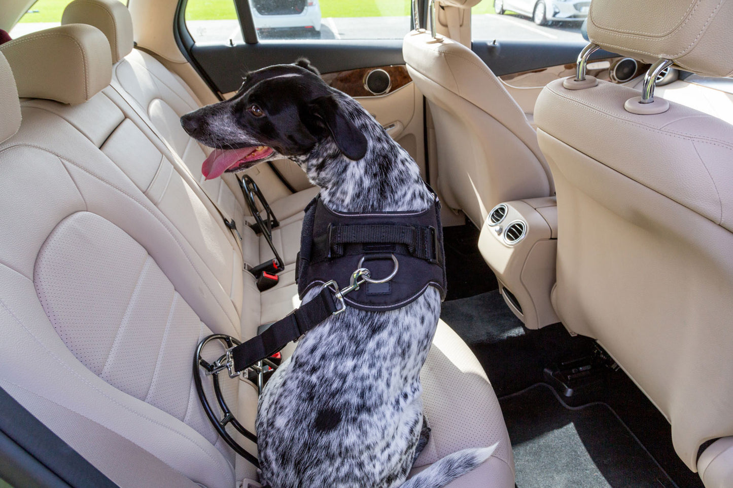 SIT! Up Safe Dog Restraint