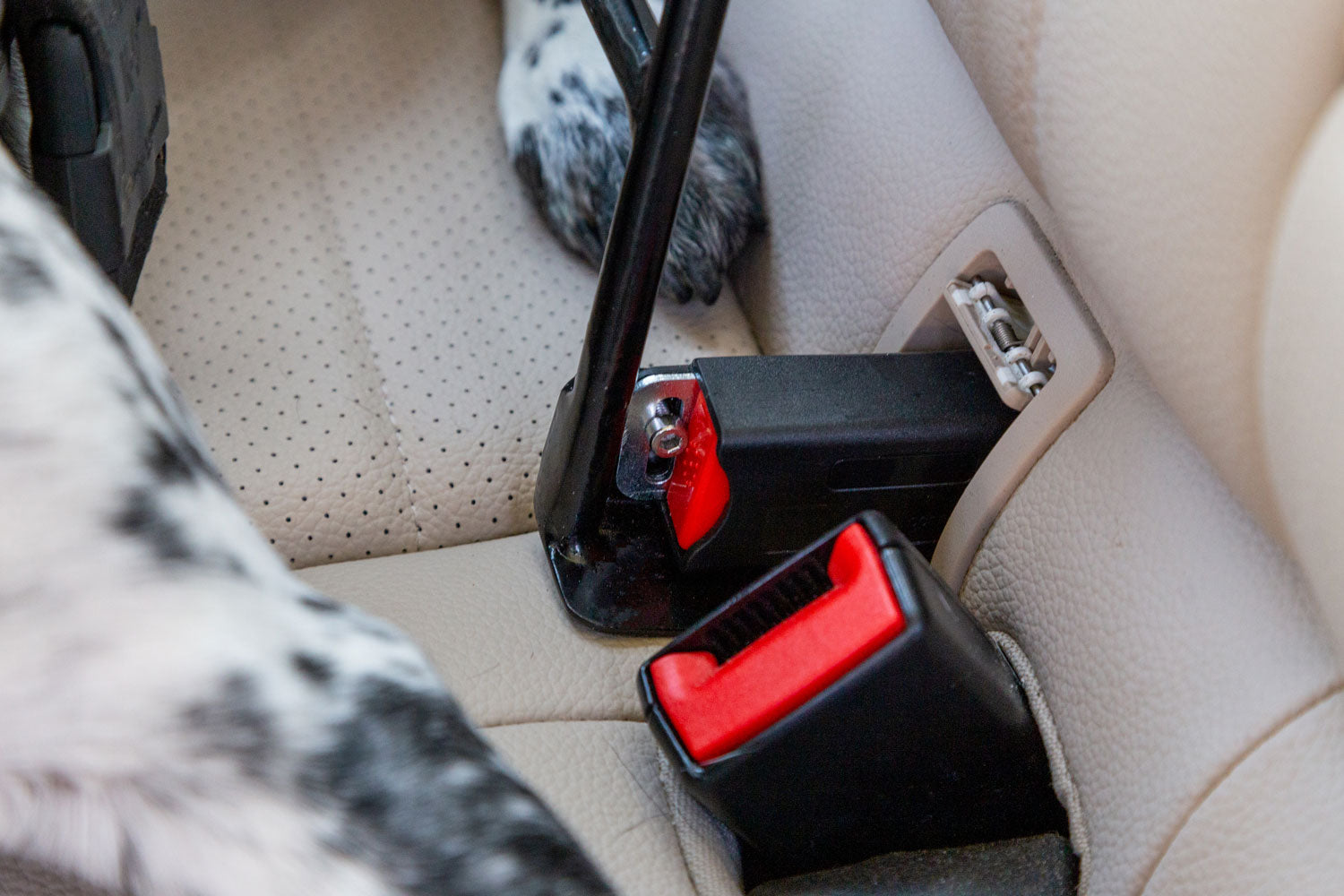 SIT! Up Safe Dog Restraint