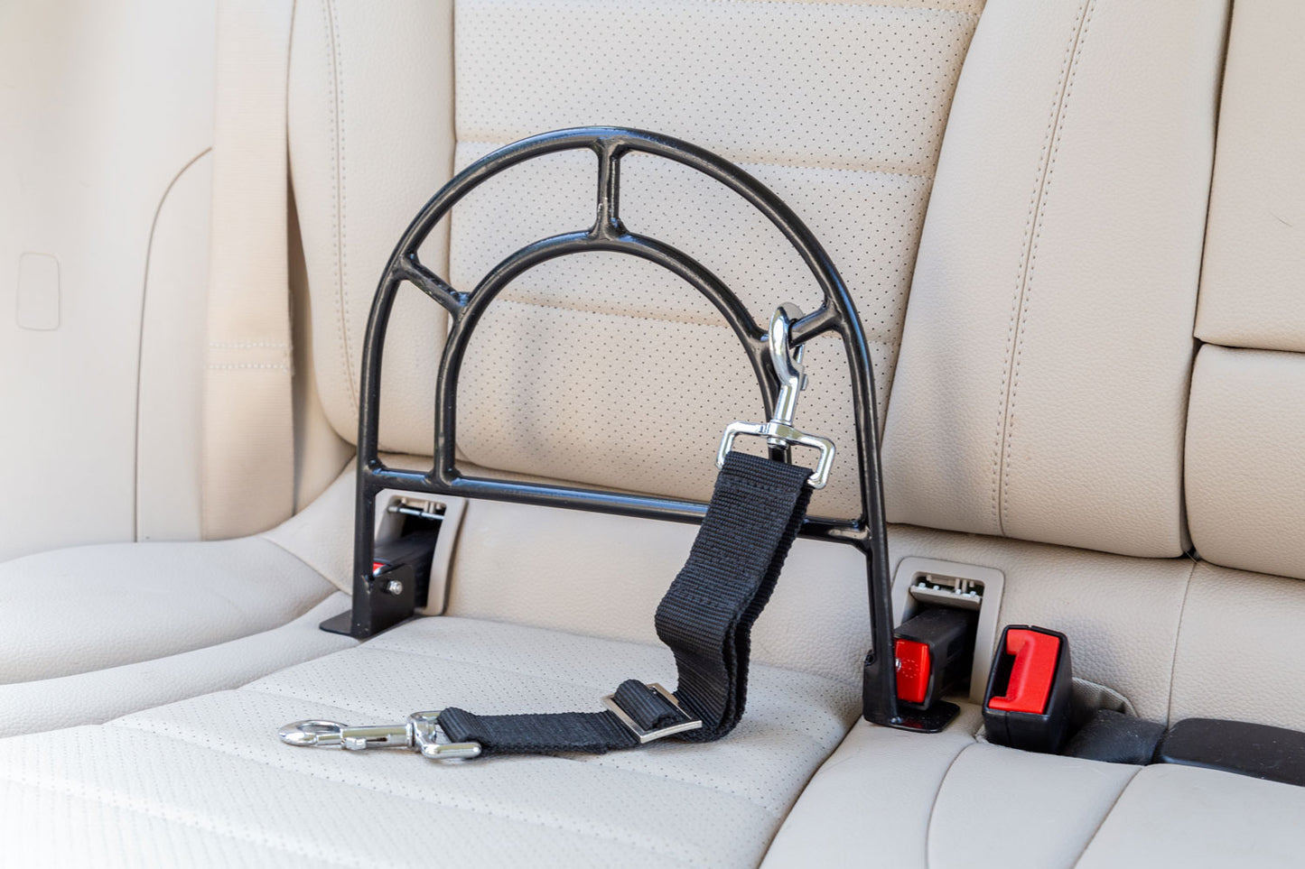 SIT! Up Safe Dog Restraint